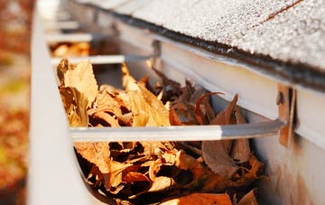 Woodlands gutter cleaning companies