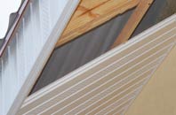 rated Woodlands soffit repair companies